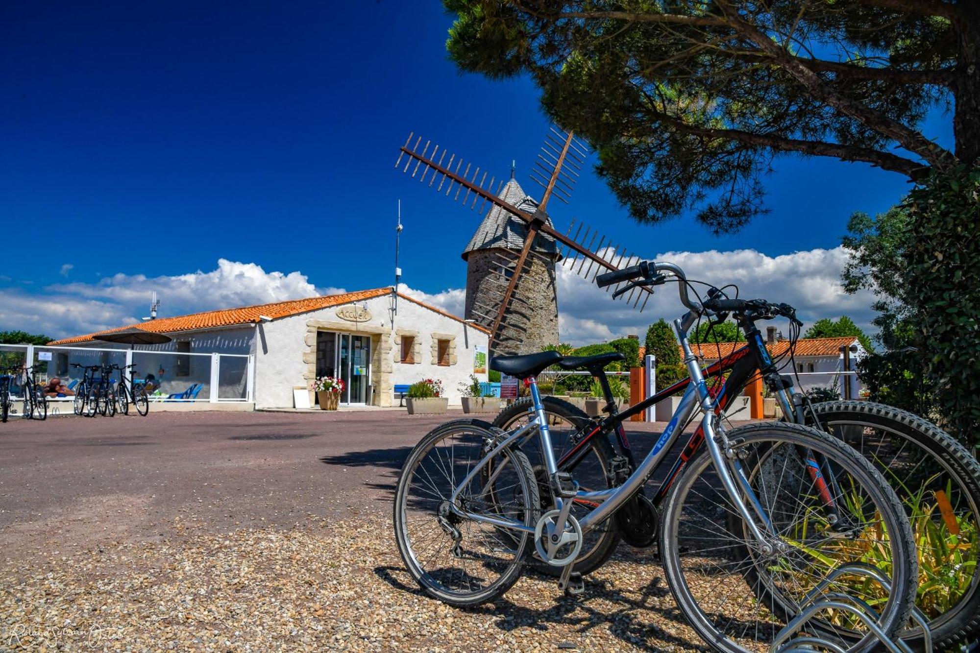 Camping Le Moulin De La Salle Les Sables-dʼOlonne Exterior foto